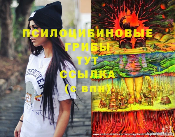 2c-b Алексин