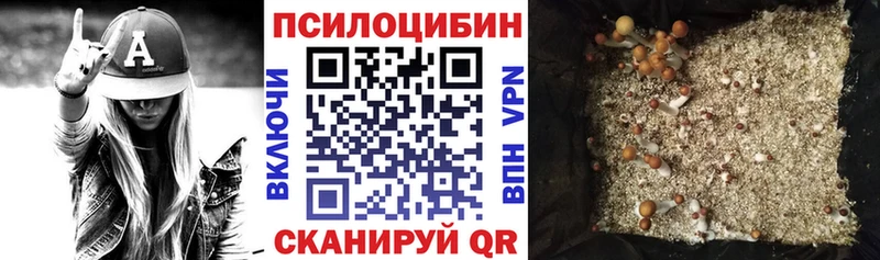 где купить наркотик Звенигово Галлюциногенные грибы прущие грибы
