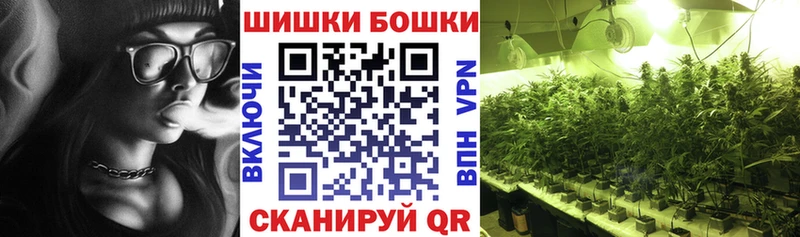 Бошки Шишки White Widow  где можно купить   Звенигово 